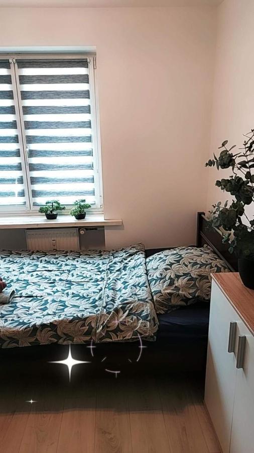 Apartament Ogrody/Jezyce ポズナン エクステリア 写真
